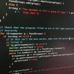 Coding vs World Languages