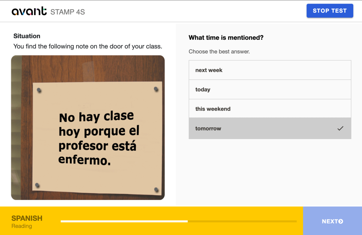 STAMP 4S Reading Section.